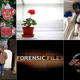 Photos: Pinterest, Getty, YouTube, and Kelly Stout.